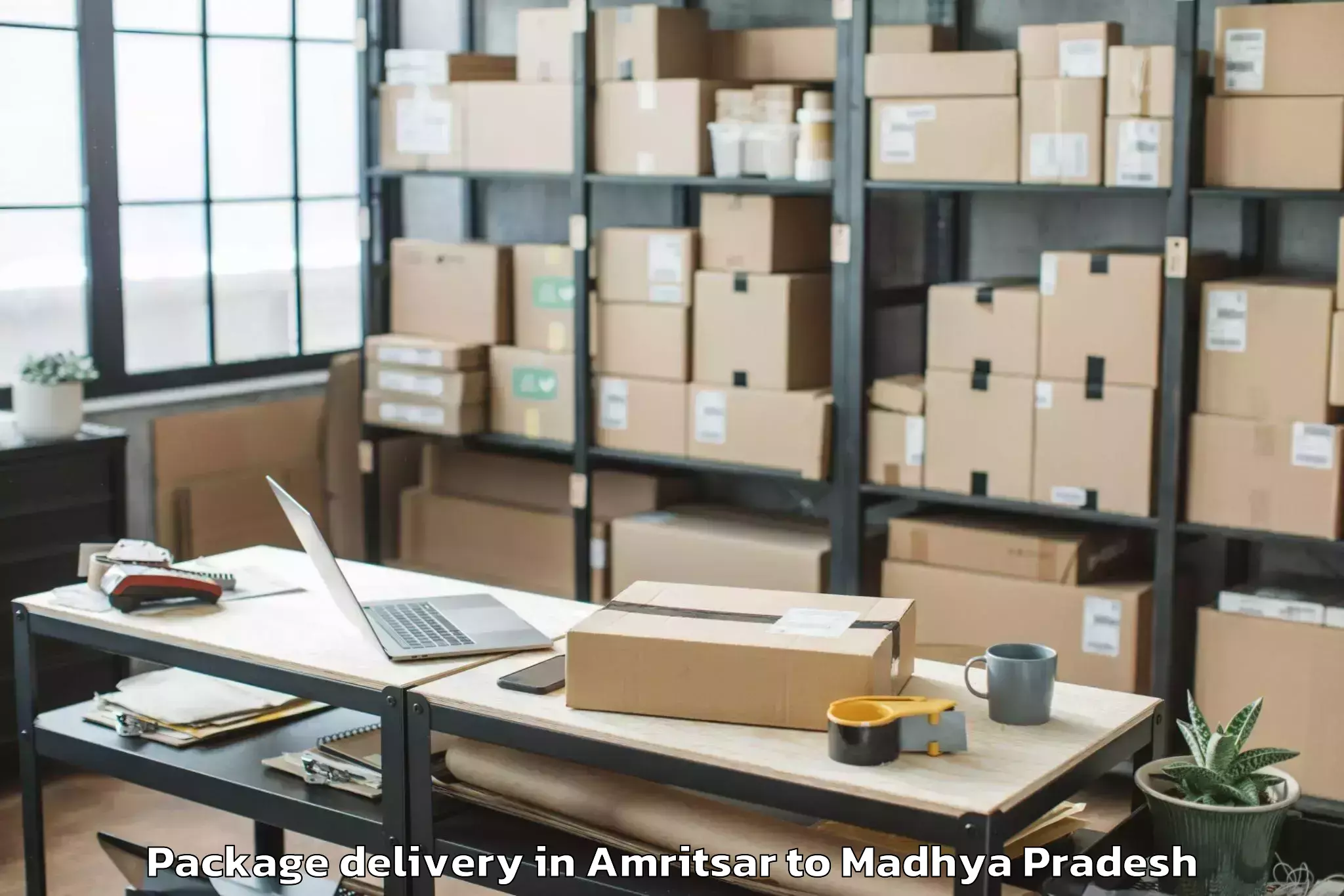 Reliable Amritsar to Mahidpur Package Delivery